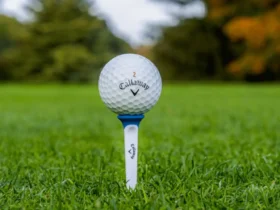 best golf tees for beginners