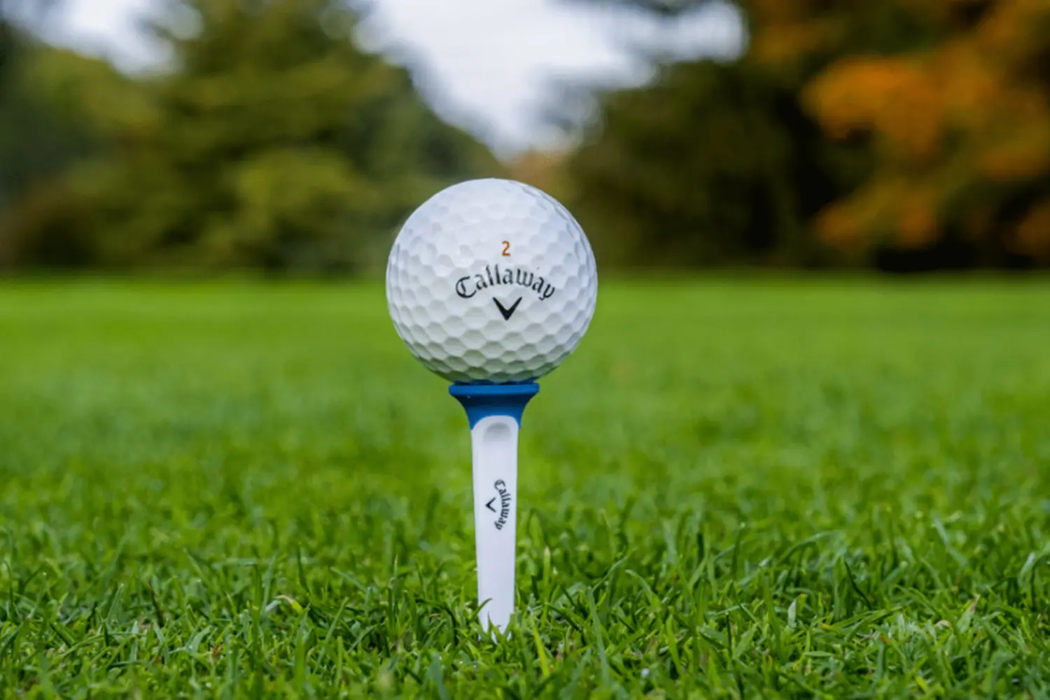 best golf tees for beginners